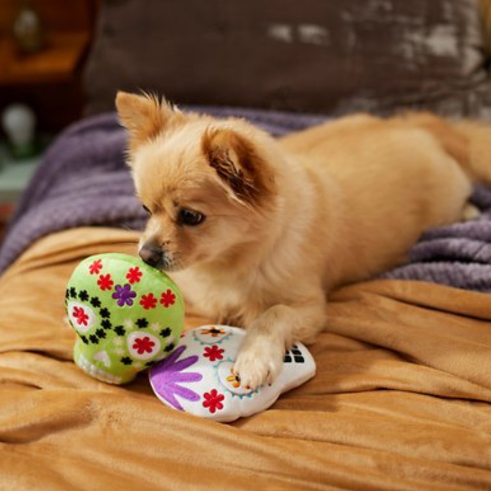 Sugar Skull Dog Toy